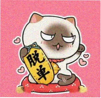 观众冷杉下的猫头像